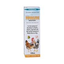 PHARMACHEM Piperazine Solution Roundworm Control In Pigs, Chickens & Birds -100mL