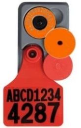 Allflex Orange Post Breeder Tags with MAXI Matching Management Tags