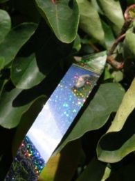 HOLOGRAPHIC TAPE 25mm X 150M