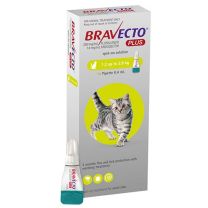 Bravecto Plus Cat 1.2-2.8kg Green