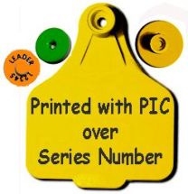 Leader Enviro Orange Post Breeder Tag with Size 3 Management Tag