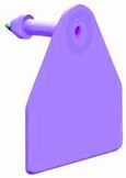 Allflex Small Male Plain NO Printing