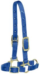 Bainbridge Sheep Halter in Royal Blue