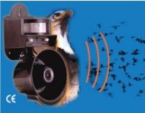 SONIC BIRD CHASER
