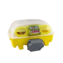 Egg Tech Antibacterial Automatic Incubator -12 Egg Auto