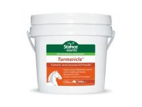 Equitec Turmericle Powder -500g