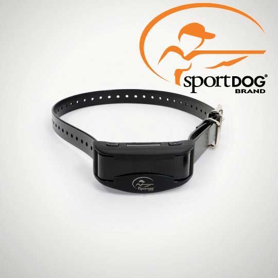 Sportdog no bark sale